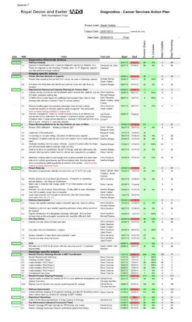 Gantt Chart Action Plan