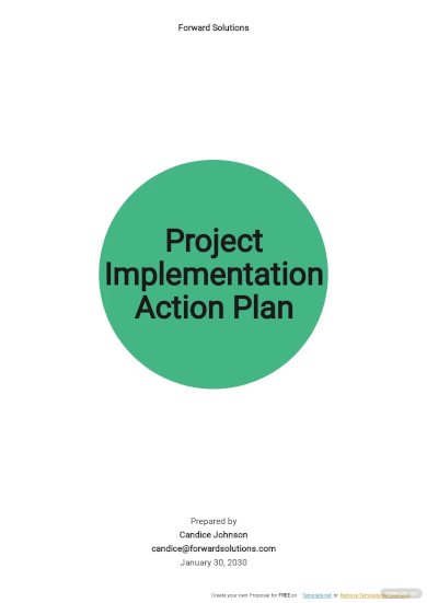 project implementation action plan template