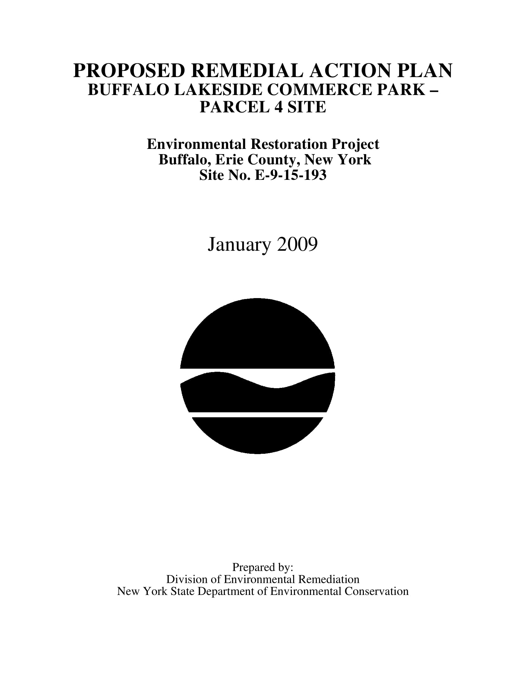 Remedial Action Plan 9 Examples Format Pdf Tips