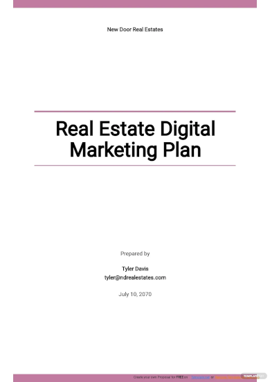 Digital Marketing Plan Examples - 28+ In Pdf 