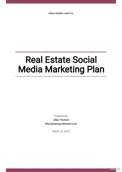 Social Media Marketing Plan - 30+ Examples, Format, Pdf | Examples