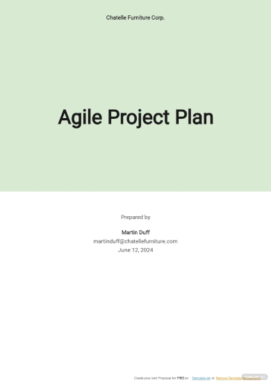 Safe Agile Project Plan Template
