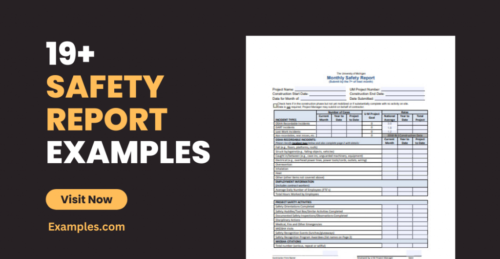 Safety Report Examples