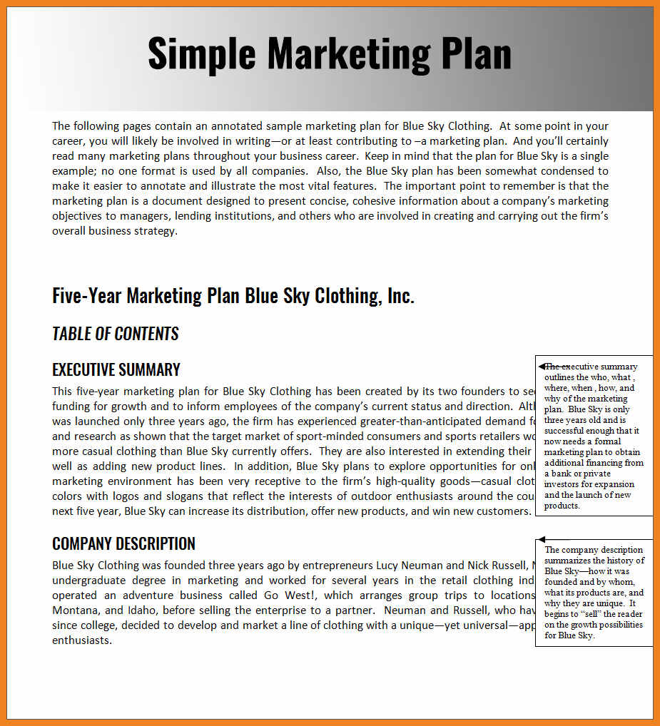 marketing plan for a hypothetical company