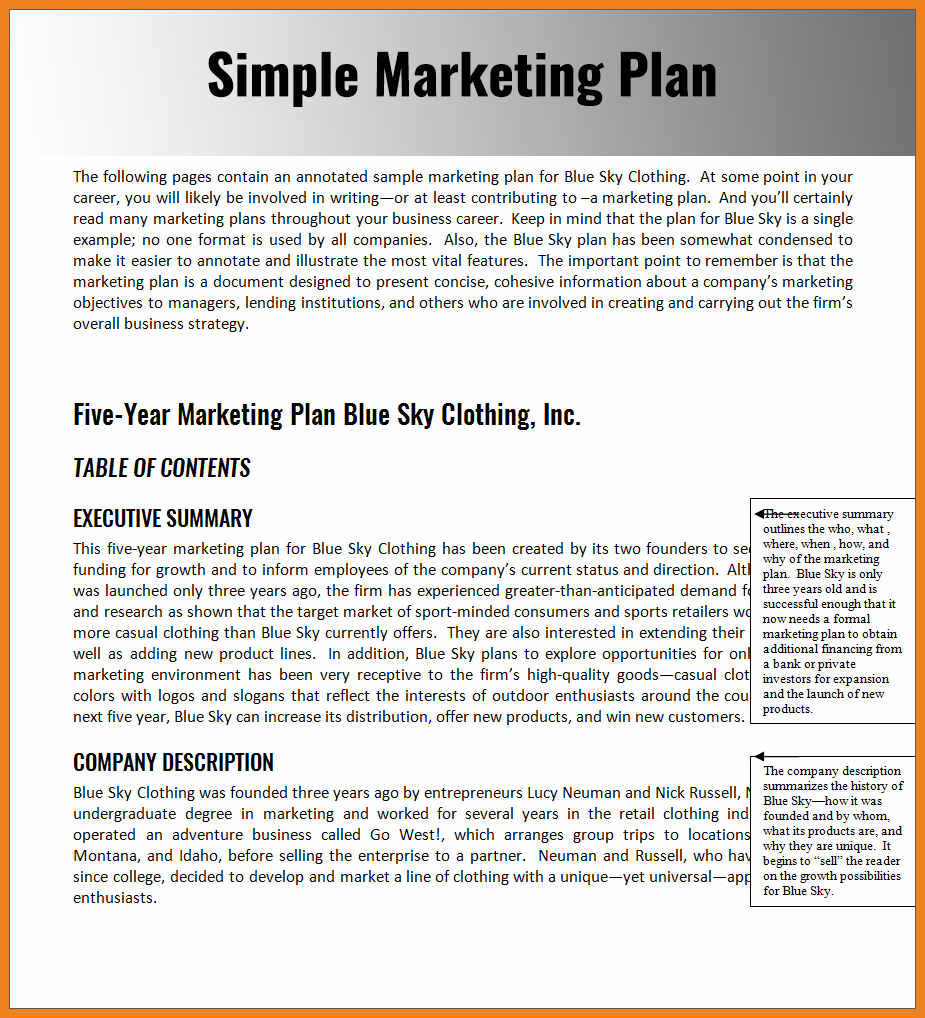 Sample Of Marketing Plan