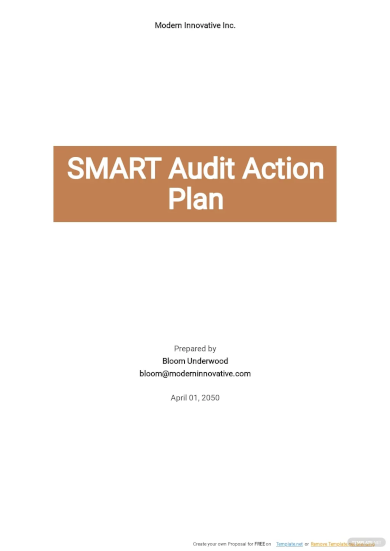smart audit action plan template