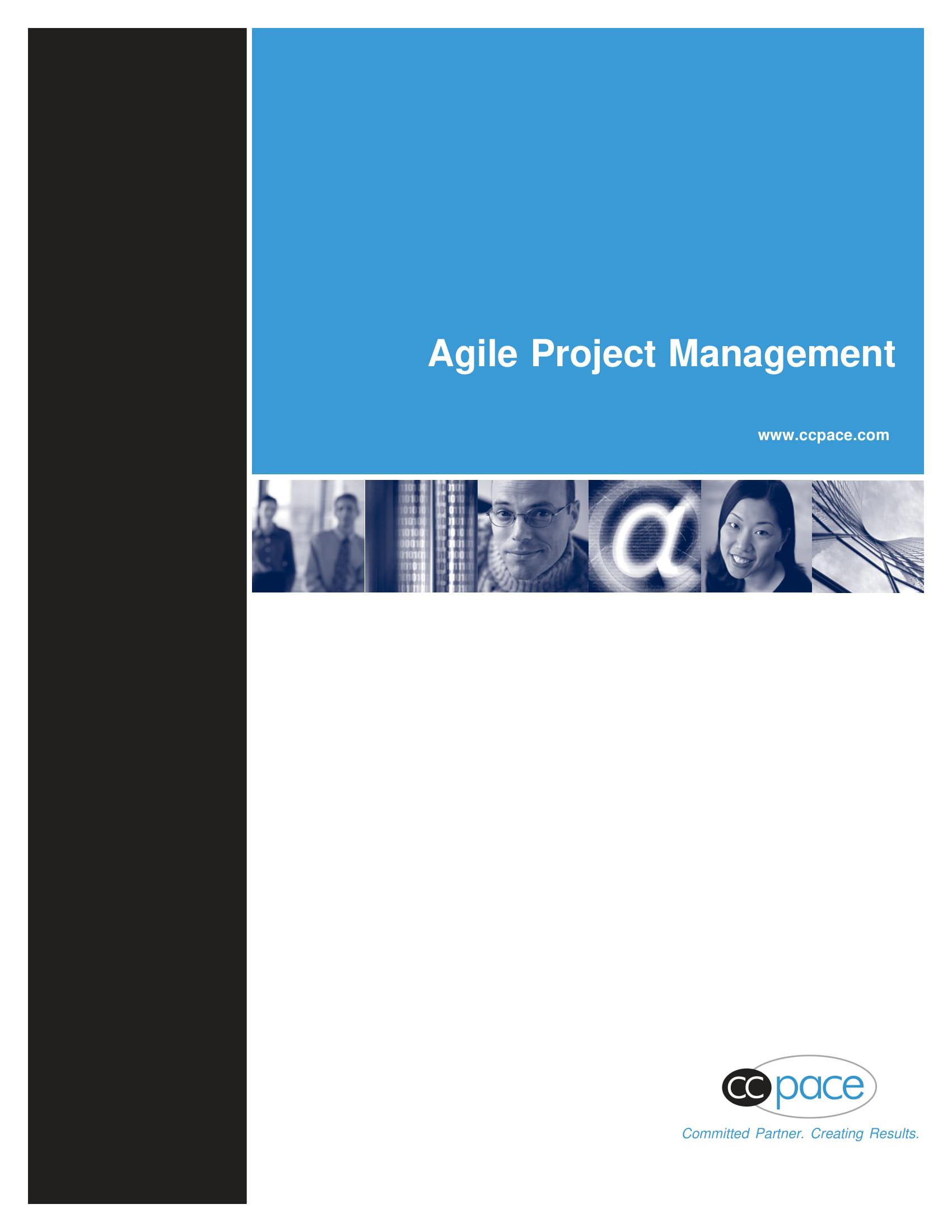 Agile Project Plan - 15+ Examples, Format, Pdf