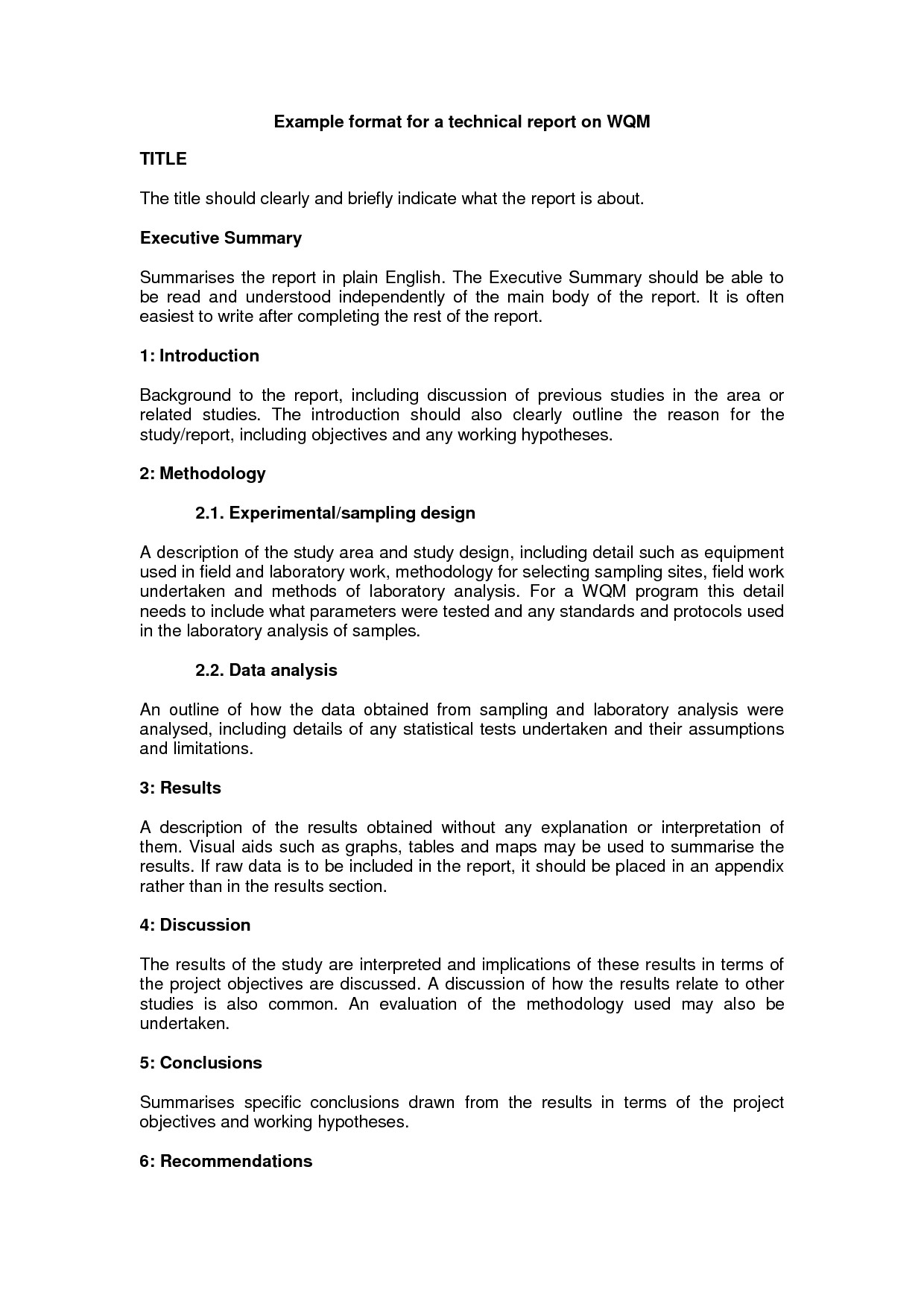 Technical Report Example Format