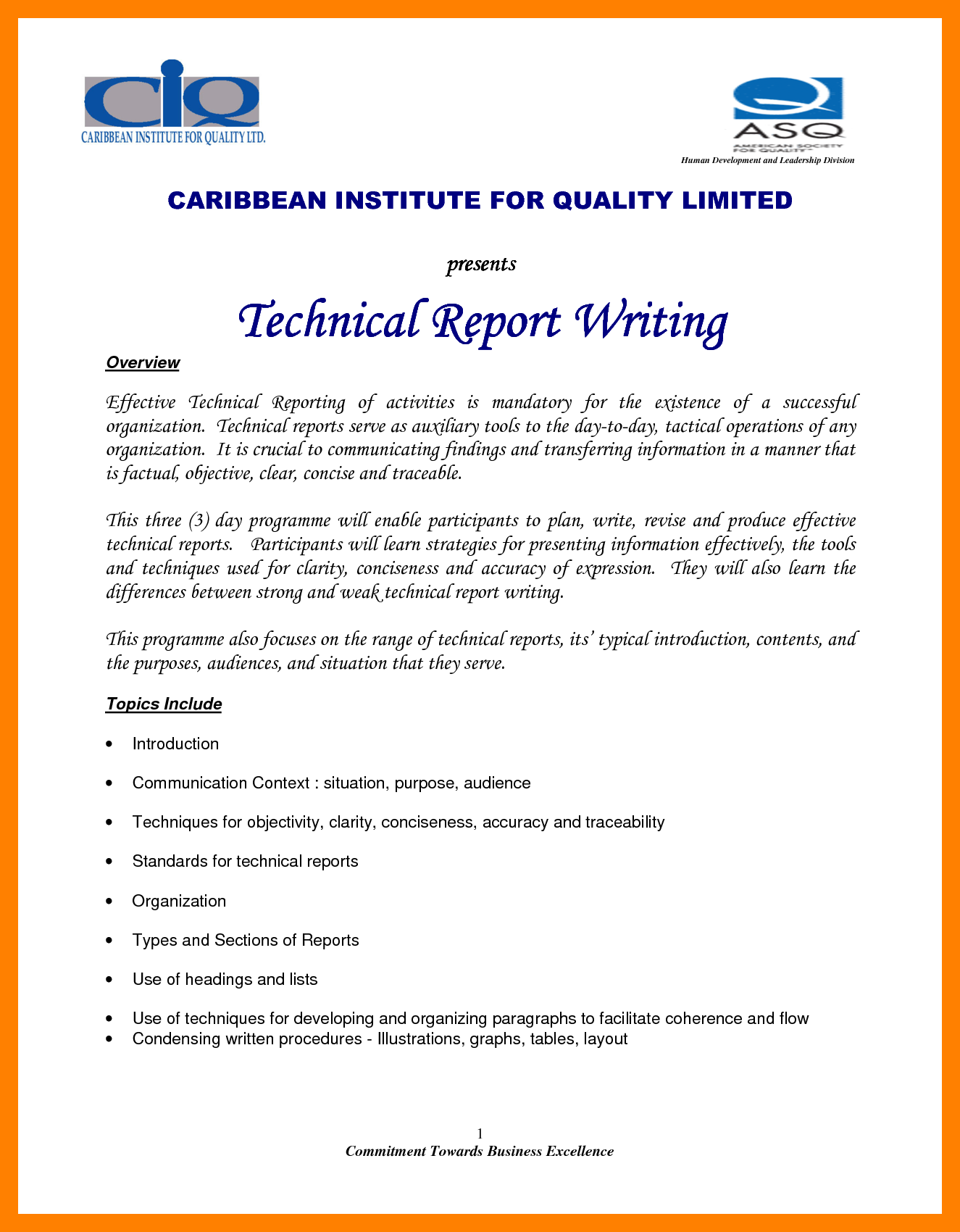 Technical Report Writing Example