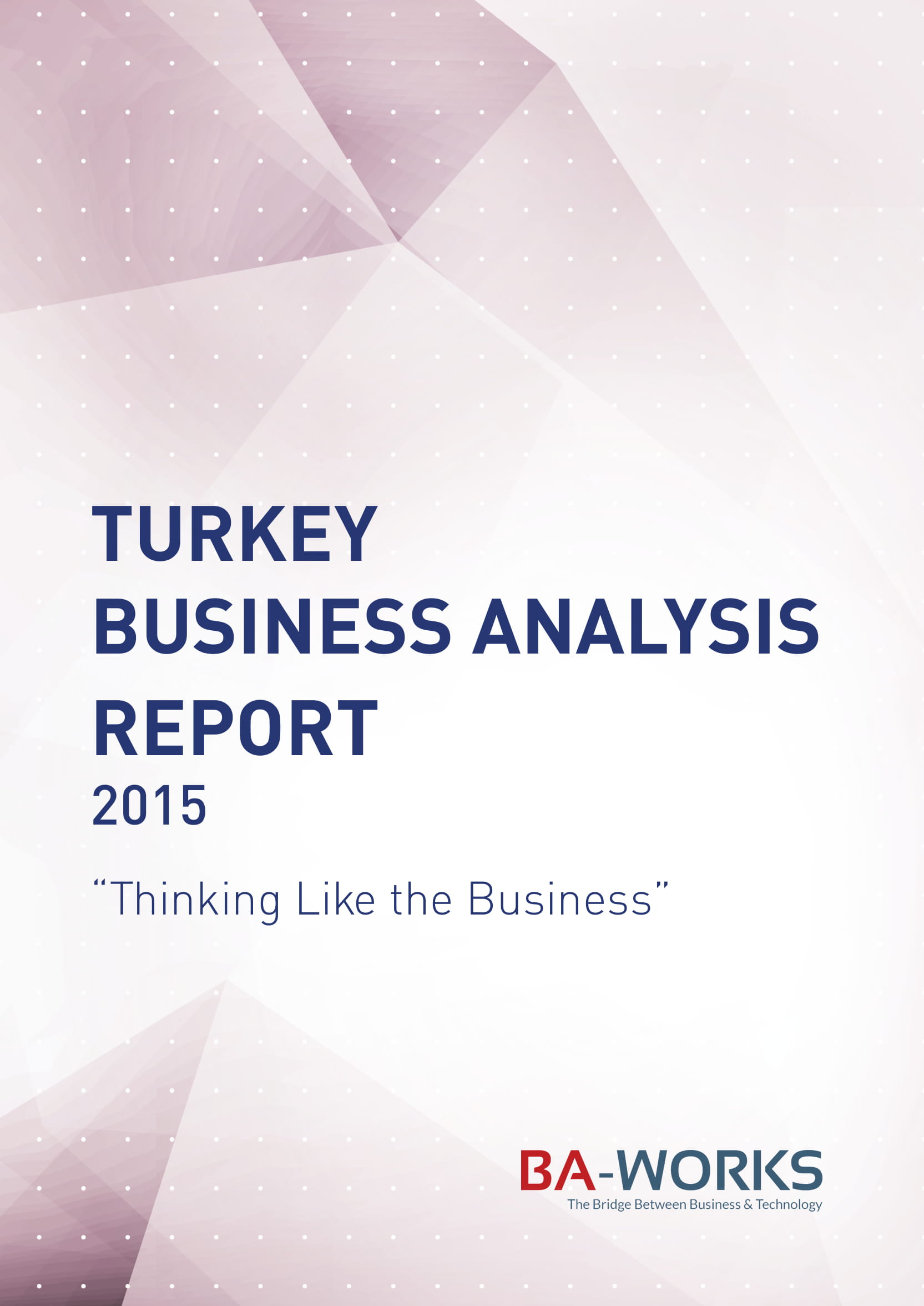 turkey business analysis report example