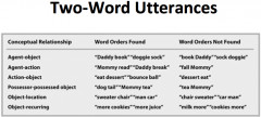 two word utterances or telegraphic speech