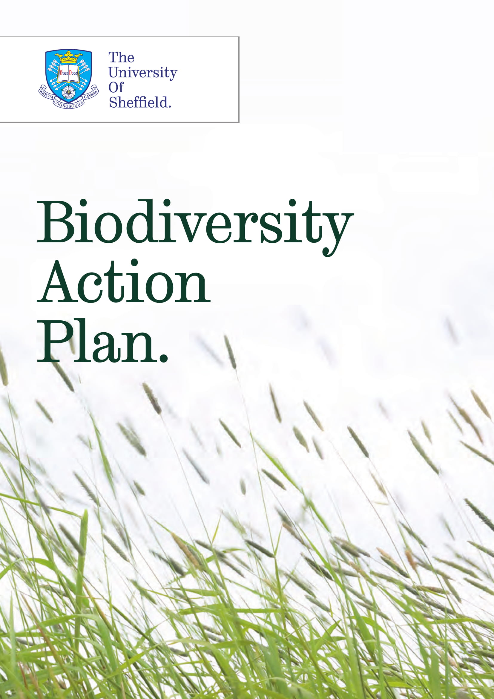 University Biodiversity Action Plan Example 01