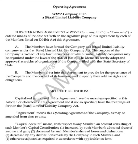 wxyz business operating agreement example