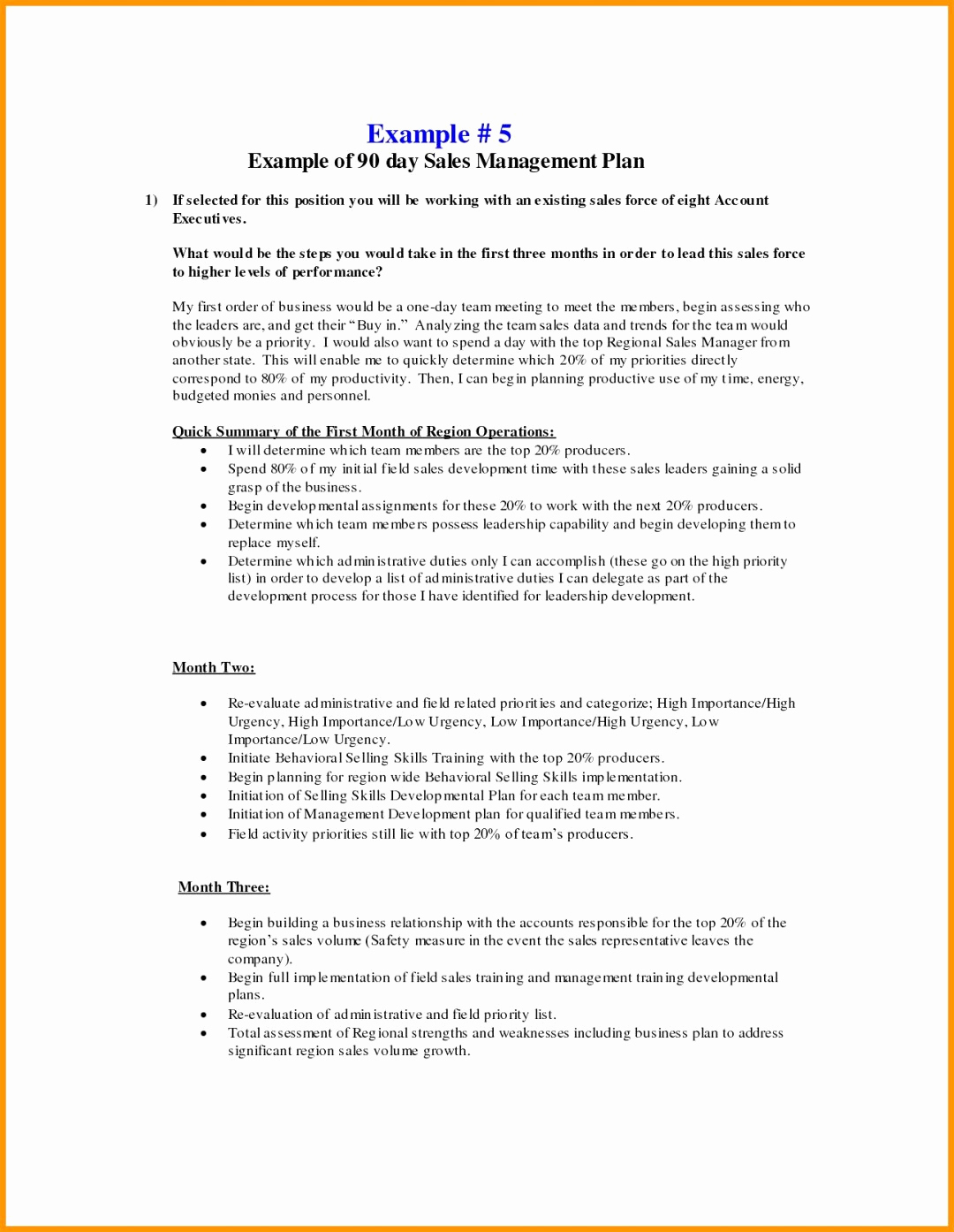 90 Day Sales Management Plan Example