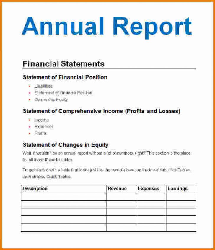 annual business report sample