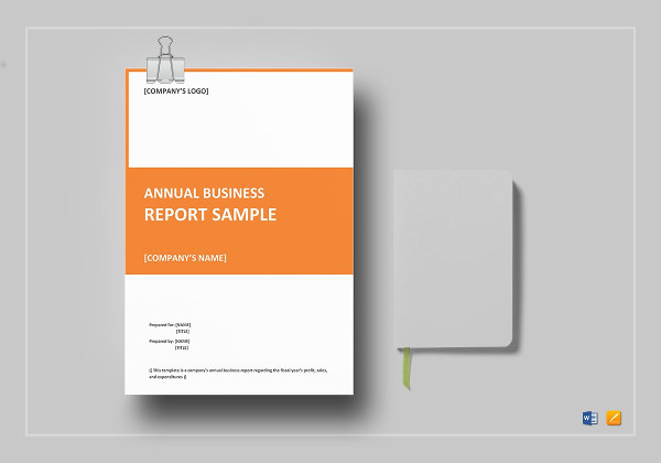 annual business report template1