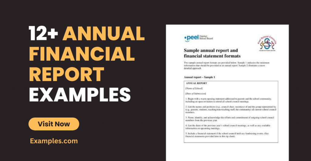 Annual Financial Report Examples