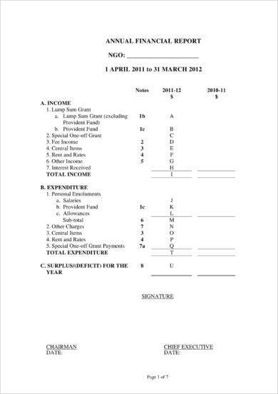 Basic Annual Financial Report Example