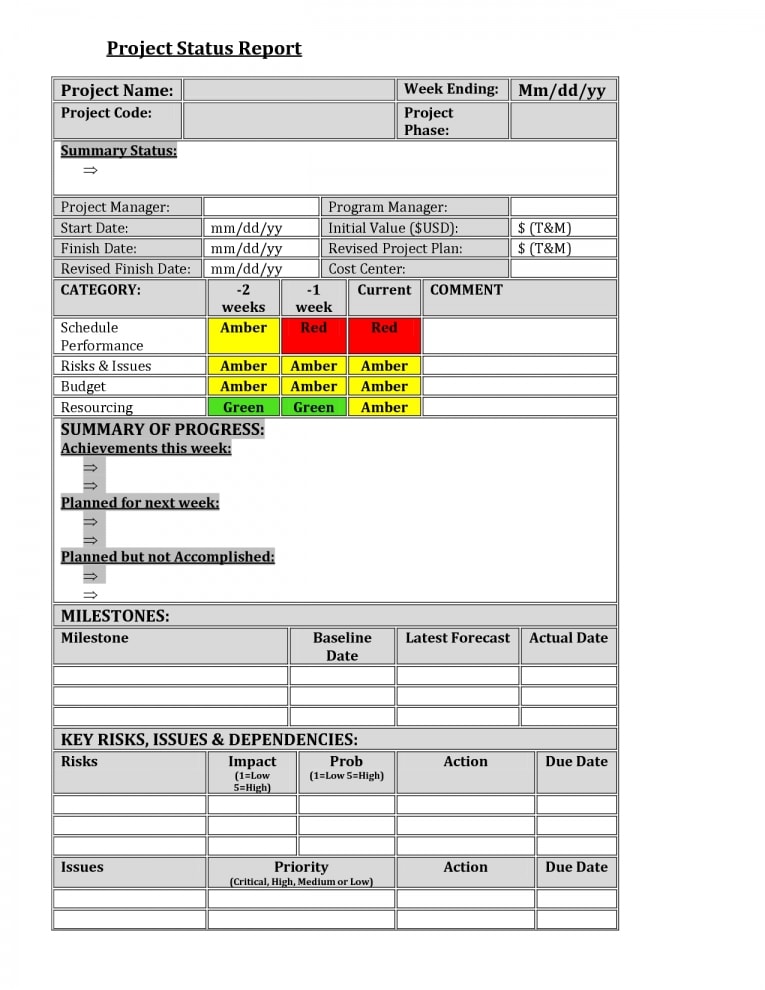 Blank Project Status Report Example