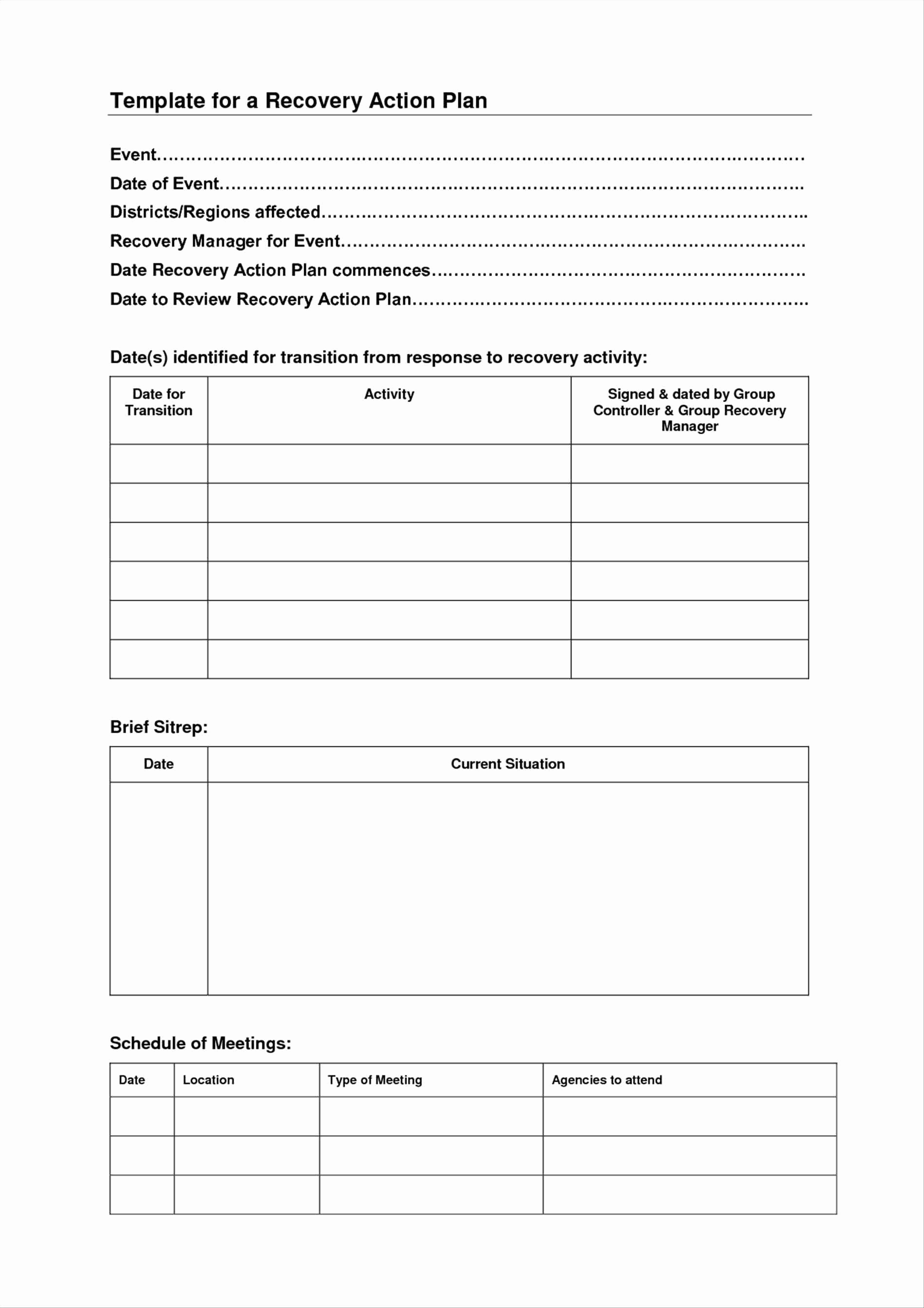 blank wellness recovery action plan template