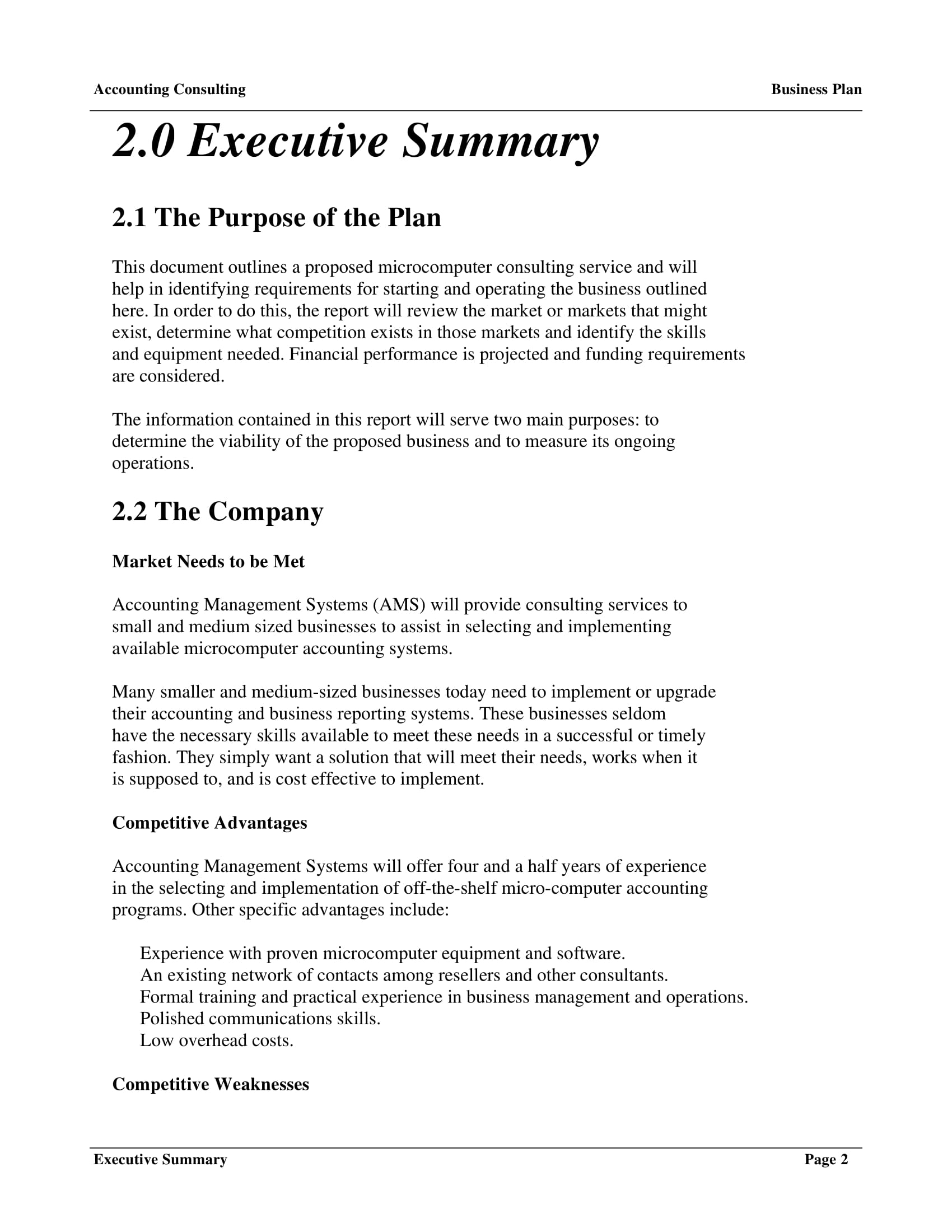 Business Accounting Consulting Business Plan Example