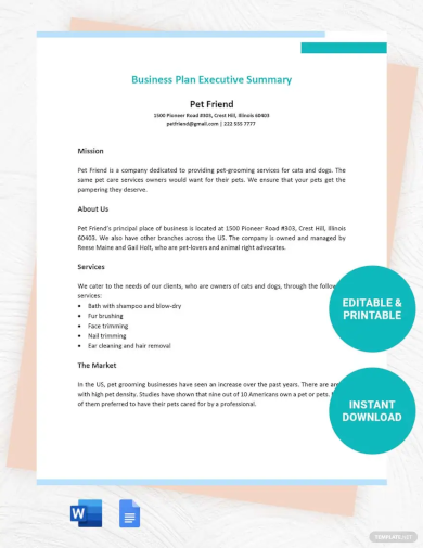 what does the executive summary of a business plan contains