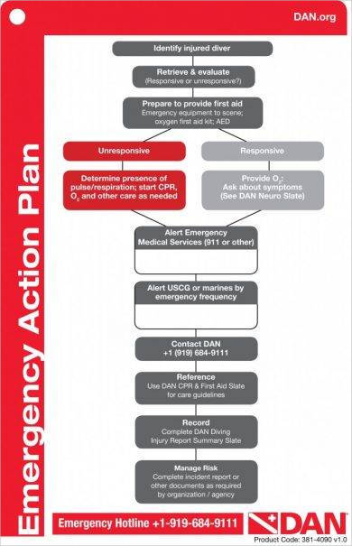 Padi Emergency Action Plan Flow Chart