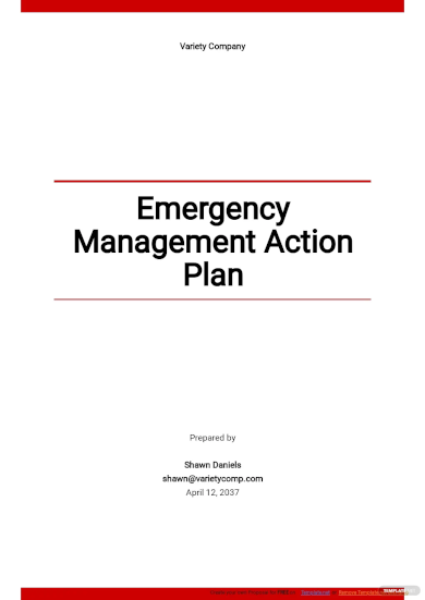 emergency management action plan template