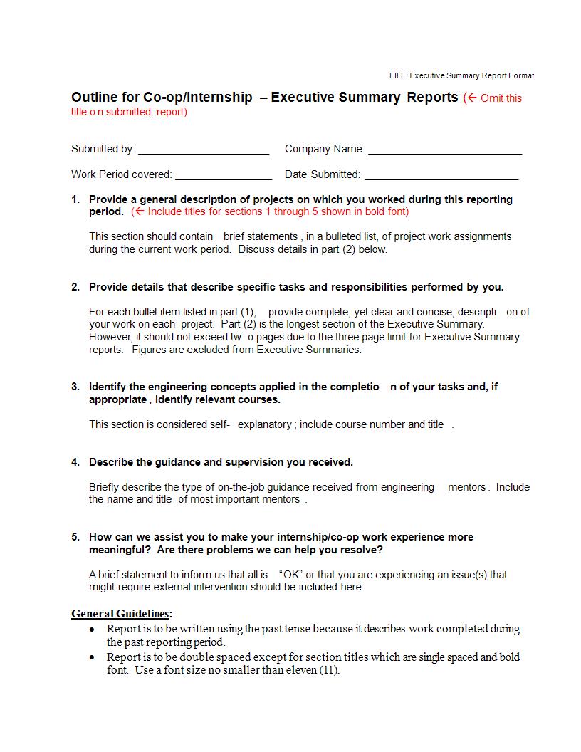 executive summary report guide example
