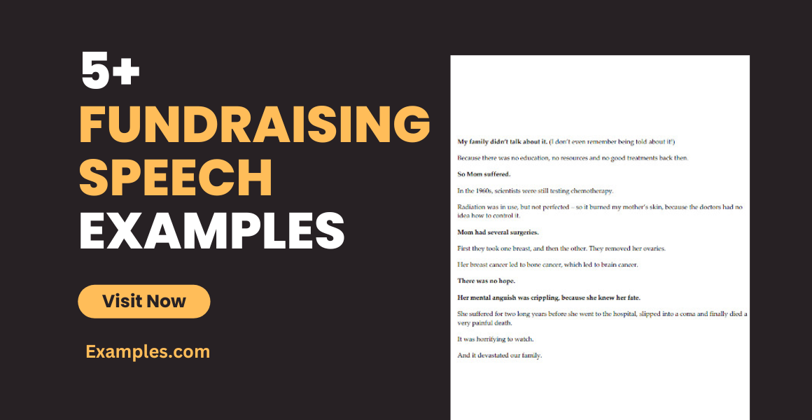 Fundraising Speech Examples