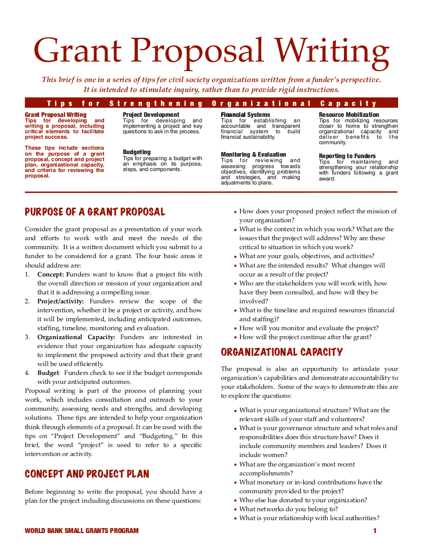 example financial grant writing