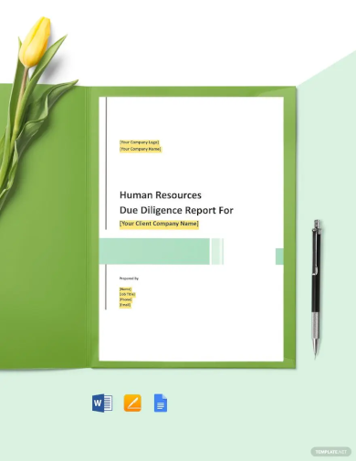 hr due diligence report template