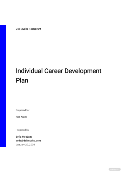 Individual Career Development Plan Template