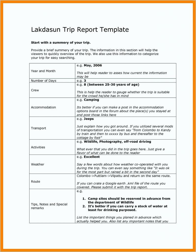 trip report template