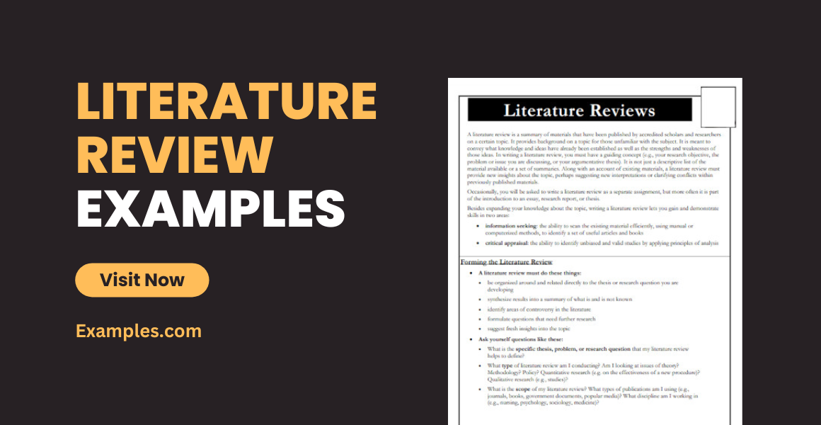 literature review examples
