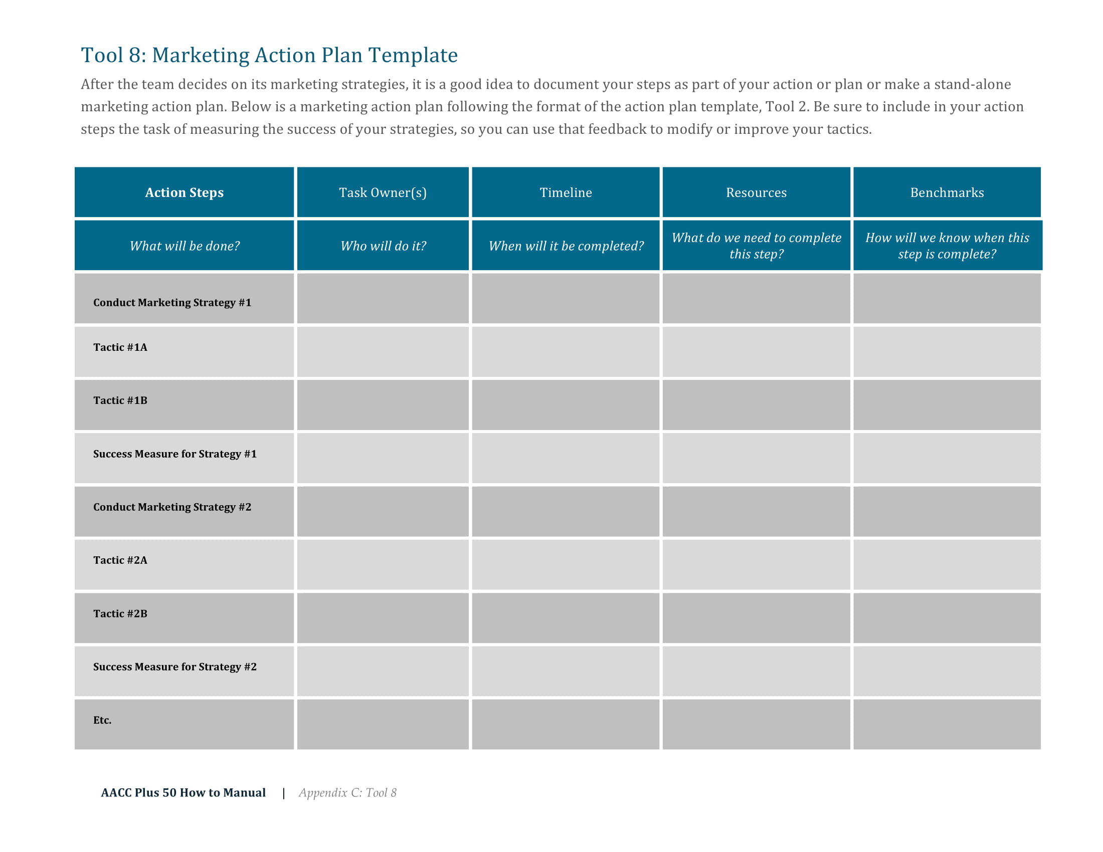 marketing strategy action plan example