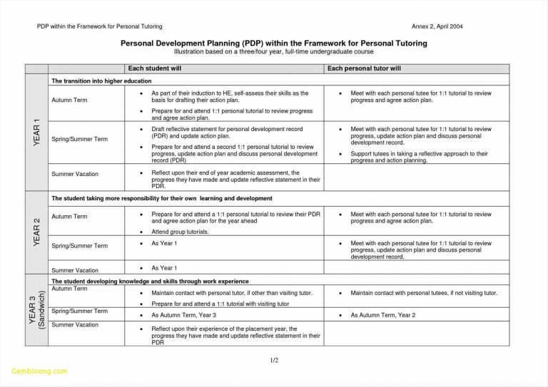 12 Career Development Plan Examples In PDF MS Word Pages Google 