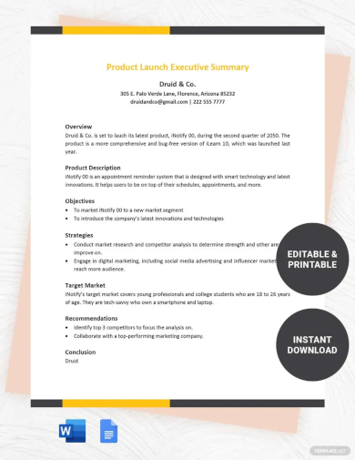 product launch executive summary template