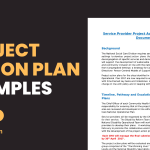 Project Action Plan Examples