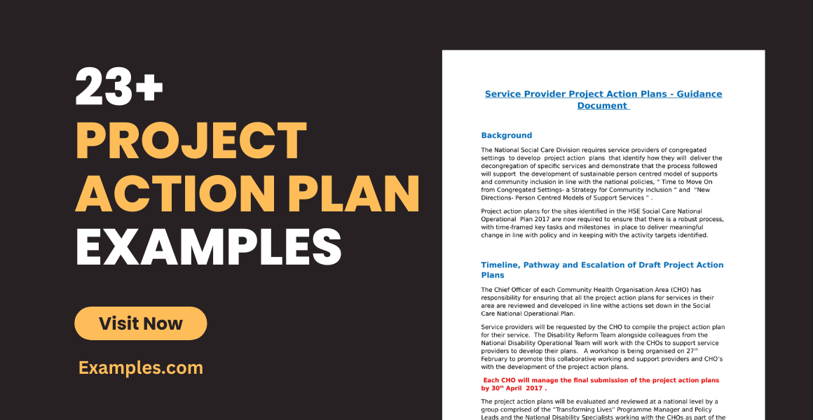 project action plan examples