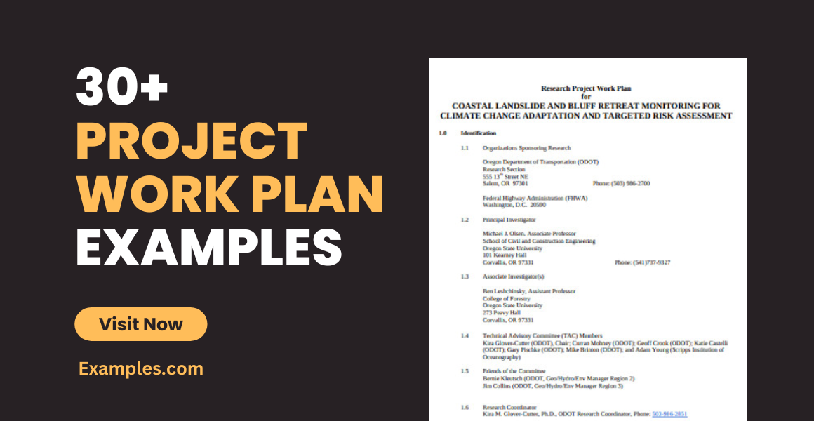 Project Work Plan Examples