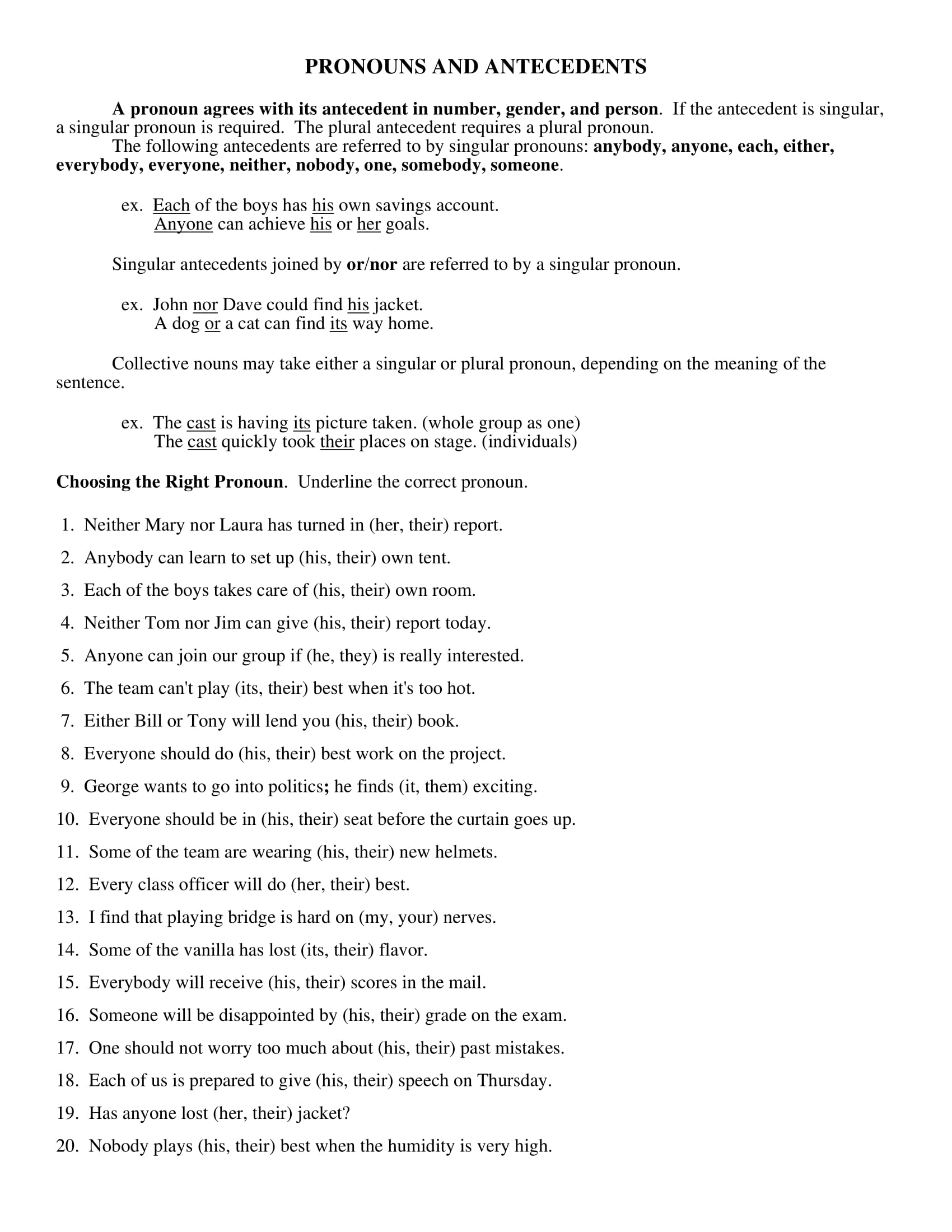 Pronouns and Antecedents Worksheet Example