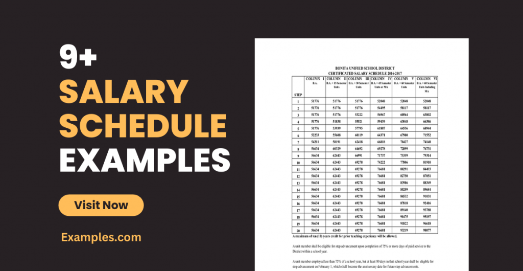 Salary Schedule Examples