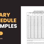 Salary Schedule Examples
