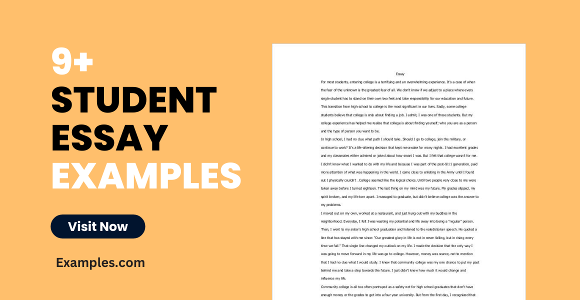 student essay examples