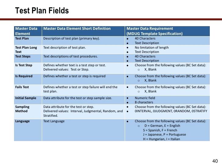 11+ Migration Project Plan Examples PDF