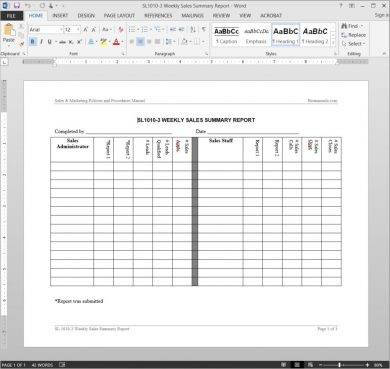 weekly sales activity summary report template1