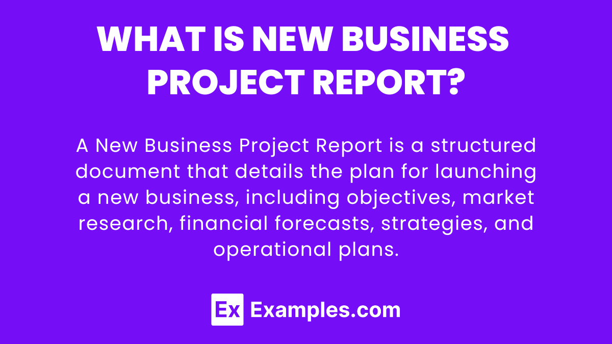 project report on business plan