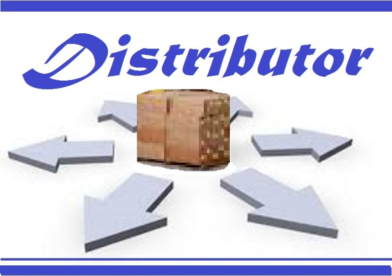 6+ Official Distributor Letter Examples PDF Examples