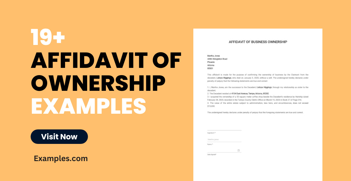 affidavit of ownership examples